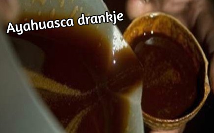 ayahuasca drankje